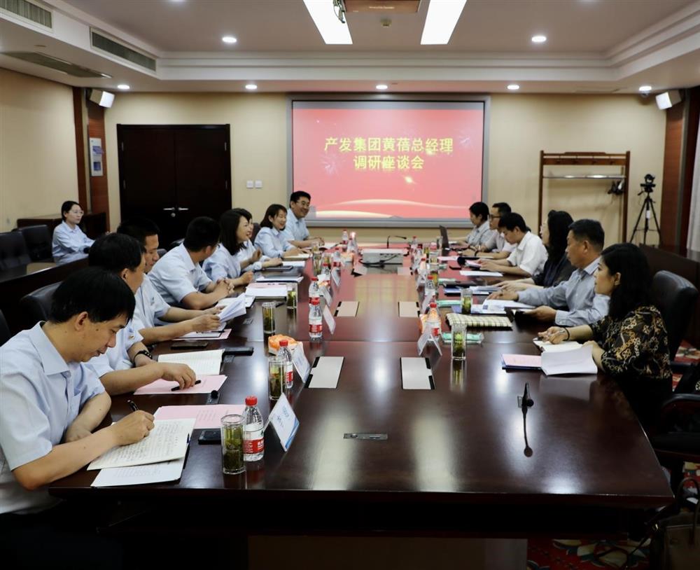 集团党委副书记、总经理黄蓓带队调研济南市工程咨询院